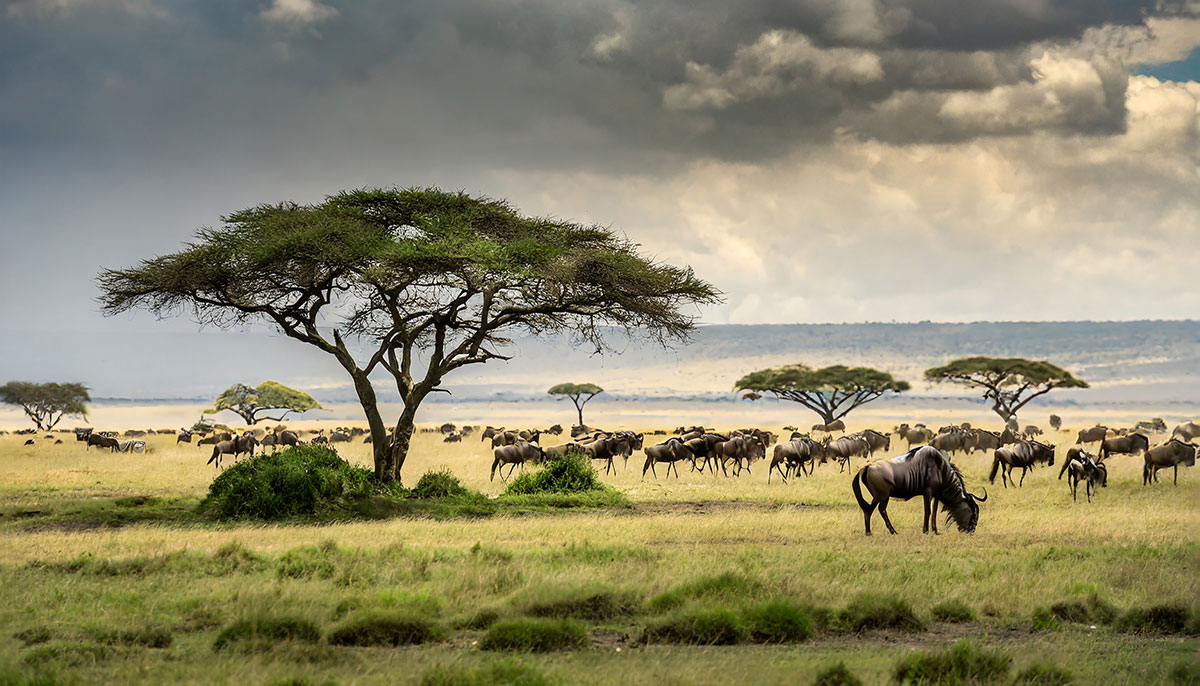 Tanzania