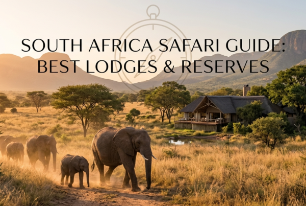 South Africa Safari Guide: Best Lodges & Reserves